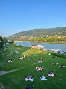 a group of people laying on the grass next to a lake at stylish suite OldTown free parking Air Condition in Heidelberg