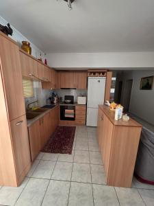 a kitchen with wooden cabinets and a white refrigerator at Ariadni's Dreamhouse in Akrata