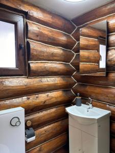a bathroom with wooden walls with a sink and a mirror at Casa Alexia in Potoc