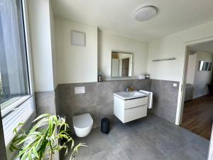 a bathroom with a sink and a toilet and a mirror at Penthouse Seeblick am Leuchtturm in Fehmarn