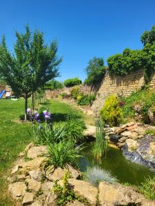 a garden with a pond and flowers at La cabane des folies in Montmédy