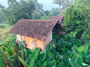 a small house with a rusty roof in a field of plants at Lake Cabin in Polonnaruwa