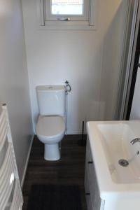 a bathroom with a toilet and a sink and a window at Chalet vrijheid in Tjerkgaast
