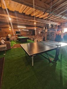 a ping pong table in the middle of a room at Vahtramäe saun in Siniküla