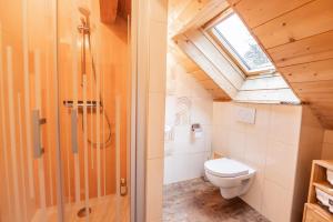 a bathroom with a toilet and a skylight at Gite du Brin d'Herbe in Pontarlier +11 photos