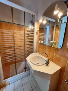 a bathroom with a sink and a shower at Hôtel Le Square in Capvern
