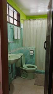 a bathroom with a toilet and a sink at Greenviews Resort & Restaurant Port Barton in San Vicente