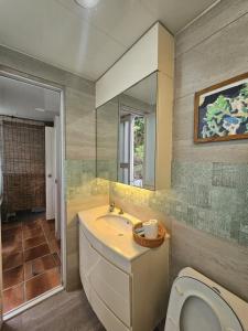 a bathroom with a sink and a toilet and a mirror at Farm Cottage in Hong Kong
