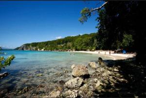 a beach with a bunch of people in the water at Studio accès piscine, plage à 50m in Le Gosier