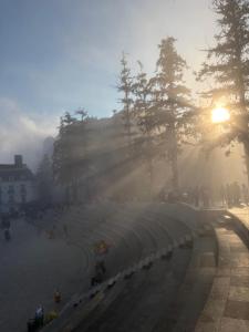 a foggy street with the sun rising behind trees at OnMe in Sapa