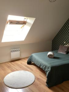 a bedroom with a bed and a skylight at Chez Nathou in Janzé