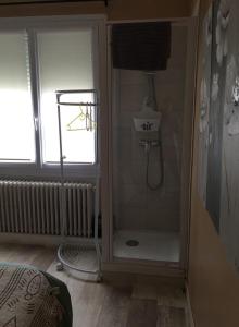 a bathroom with a shower with a sink and a window at La Pause in Craponne +8 photos