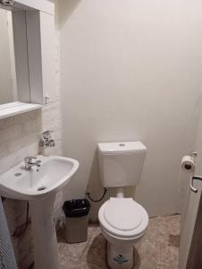 a bathroom with a white toilet and a sink at Hostel Lagos del Sur in El Chalten +11 photos