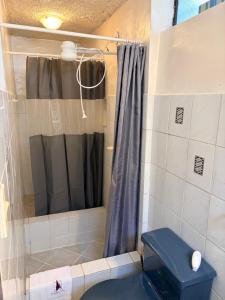a bathroom with a shower with a blue toilet at St. Gallen Haus in Quito +137 photos