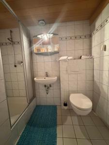 a bathroom with a toilet and a sink and a shower at Pension Silberdistel in Ühlingen-Birkendorf +15 photos