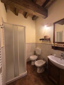 a bathroom with a shower and a toilet and a sink at CORTE STELLATA Il Grano Lodging in Bondeno