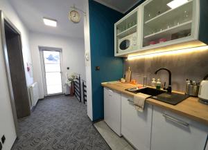 a kitchen with a sink and a counter top at Pokoje Sandra I in Łeba
