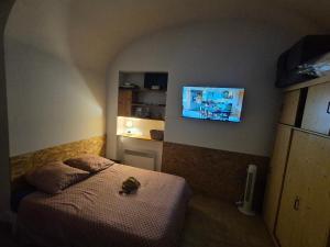a bedroom with a bed and a television on the wall at Studio Vans in Les Vans