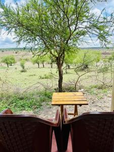 a wooden table and two chairs in front of a tree at Oltare Safari Homestay in Makuyuni