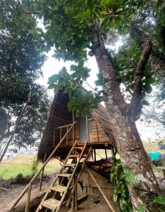 a tree house with a ladder next to a tree at Pemsee's Tree Town - Eco Treehouse Hostel in Sauraha