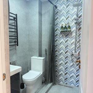 a bathroom with a toilet and a shower at AMare guesthouse in Kapan +29 photos