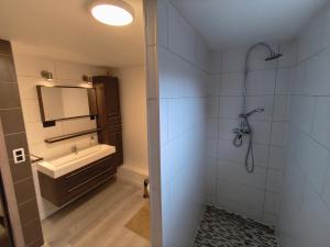 a bathroom with a sink and a shower at The Eau Rouge 600m from the entrance of the circuit in Stavelot +14 photos