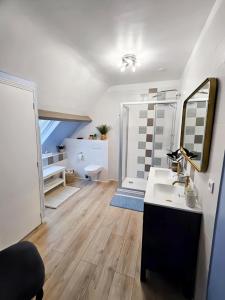 a bathroom with a sink and a toilet at La Bayardine in Sarlat-la-Canéda +118 photos