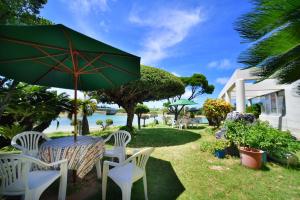 Garden sa labas ng Hotel South Island