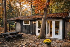 a small cabin with a bench and a tree at Boshuisje in Enschede