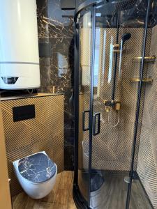 a bathroom with a shower and a toilet in it at Domek w górach in Załuczne