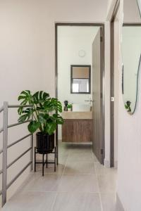 a bathroom with a sink and a potted plant at Casa Brianzzas in Miranda +61 photos