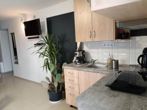 a kitchen with a sink and a counter top at Káli Apartman in Bakonybél