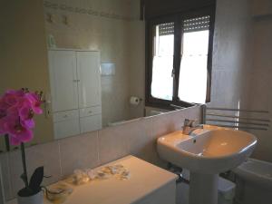 a bathroom with a sink and a toilet and a mirror at Boscaglie sweet home in Marostica +6 photos