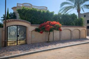 a building with a gate and a tree with red flowers at Paradise Villa - King Mariout in King Mariout
