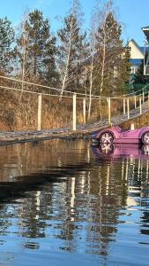 a purple object is floating in the water at Усадьба in Kostanay
