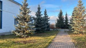 a group of trees in a yard next to a building at Усадьба in Kostanay