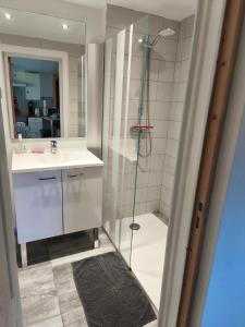 a bathroom with a shower and a sink at à la claire fontaine in Vizille +8 photos