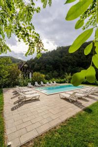 a swimming pool with lounge chairs and a house at Pension Casa Vanatorilor in Băile Olăneşti