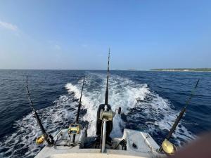 a boat in the middle of the water with two catches at Vaadhee Homestay in Guraidhoo +5 photos