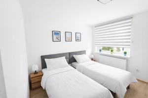 two beds in a white room with a window at Dom Przyjaźni in Kędzierzyn-Koźle