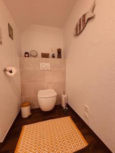 a bathroom with a toilet and a rug at Gîte Origin Gueberschwihr in Gueberschwihr +42 photos