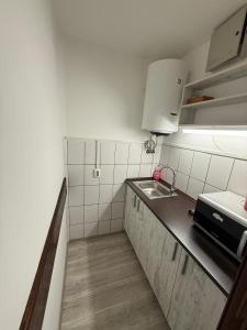 eine kleine Küche mit Spüle und Arbeitsfläche in der Unterkunft Sofhia home in Târgu Mureș