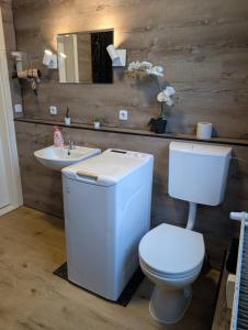 a bathroom with a white toilet and a sink at Flensburg City 10 1 OG L in Flensburg