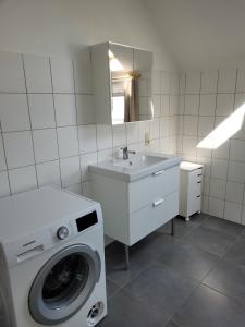 ein Badezimmer mit Waschmaschine und Waschbecken in der Unterkunft Apartment Libramont in Libramont + 6 Fotos