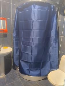 a blue shower curtain in a bathroom with a toilet at Edle Tropfen in Tqibuli +28 photos