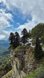 a cliff with trees on top of a mountain at Edle Tropfen in Tqibuli