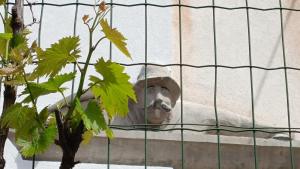 a monkey in a cage behind a fence at Moro 70 locazione turistica in Montanes