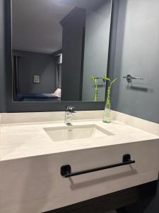 a bathroom with a sink and a mirror at Hotel Le-Gar in Monterrey