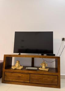 a flat screen tv sitting on top of a wooden entertainment center at 2BR luxury Apartment in Mount Lavinia - Benetia Stay in Mount Lavinia