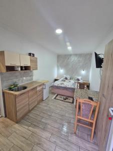a kitchen with a sink and a bed in a room at Konak Kod Gorana 1 in Subotica +41 photos